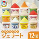 奄美産素材使用ジェラート12個入り ギフト