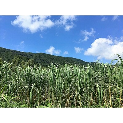 奄美大島産 長期熟成「島の宝 くろきび酢」(700ml×2本)