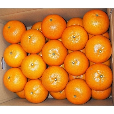 奄美産完熟たんかん5kg(M～2Lサイズ　25～40個入り)