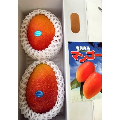 奄美産完熟マンゴー1.8kg～2kg(4～6個)