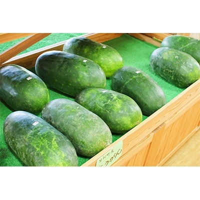 【2月~3月発送】奄美の伝統! 島野菜セット