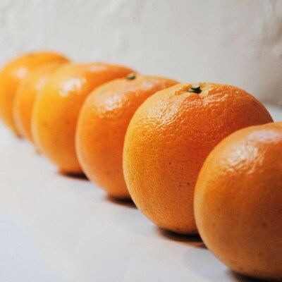 【光センサー】たんかんお試し用2.5kg(優品/皮むき器・情報誌付) M～2Lサイズ
