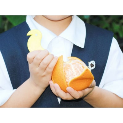 【光センサー】たんかんお試し用2.2kg(皮むき器・情報誌付) M～2Lサイズ