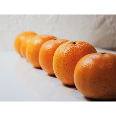 【光センサー】たんかん贈答用5kg(皮むき器・情報誌付)サイズおまかせ