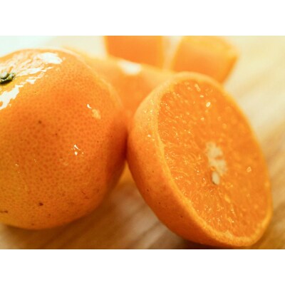 【光センサー】たんかん贈答用10kg(皮むき器・情報誌付)サイズおまかせ