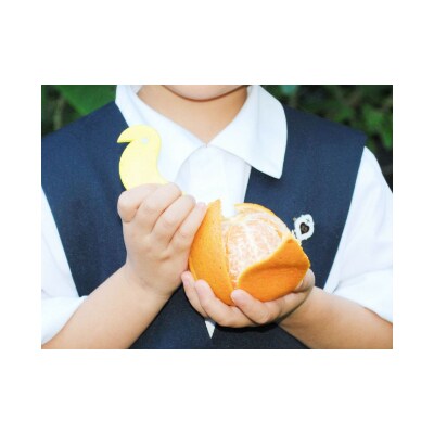 【光センサー】奄美のたんかん5kg(皮むき器・情報誌付) M～3Lサイズ