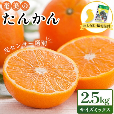 2026年産 奄美のたんかん　サイズミックス2.5kg (皮むき器・観光情報誌付)