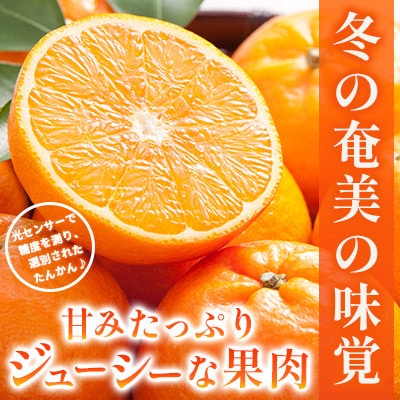 2026年産 奄美のたんかん　サイズミックス2.5kg (皮むき器・観光情報誌付)