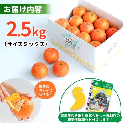 2026年産 奄美のたんかん　サイズミックス2.5kg (皮むき器・観光情報誌付)