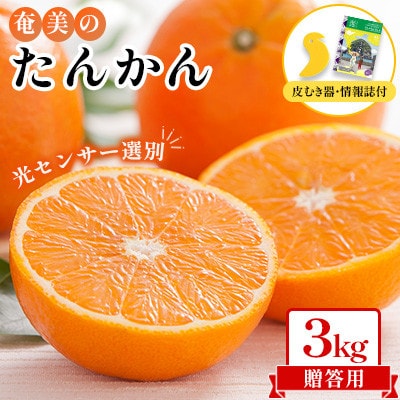 2026年産 奄美のたんかん贈答用3kg(皮むき器・観光情報誌付)