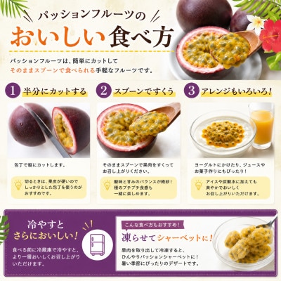 【2026年観光雑誌付き】大満足!奄美産パッションフルーツ約5kg(50～70個)甘酸っぱい黄金果肉