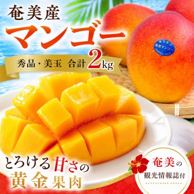 【2026年　観光雑誌付き】奄美産マンゴー 約2kg 秀品・美玉 とろける甘さの黄金果肉 樹上完熟