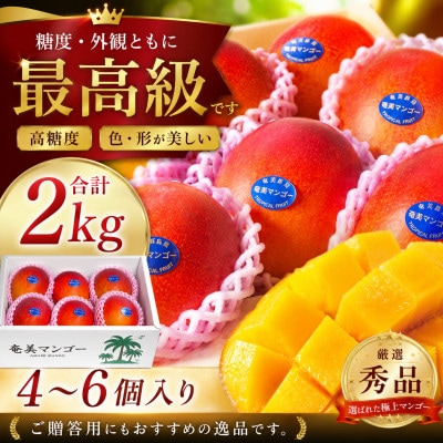 【2026年　観光雑誌付き】奄美産マンゴー 約2kg 秀品・美玉 とろける甘さの黄金果肉 樹上完熟