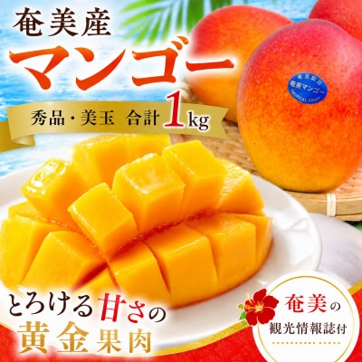 【2026年 観光雑誌付き】奄美産マンゴー 約1kg 秀品・美玉 とろける甘さの黄金果肉 樹上完熟