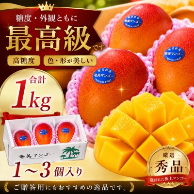 【2026年 観光雑誌付き】奄美産マンゴー 約1kg 秀品・美玉 とろける甘さの黄金果肉 樹上完熟