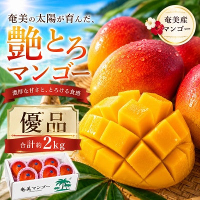 【2026年 観光雑誌付き】奄美産マンゴー 約2kg 優品・美玉 とろける甘さの黄金果肉 樹上完熟