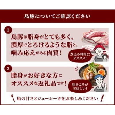 【鹿児島県奄美大島産】「島豚」皮付き豚バラブロック1kg(500g×2)