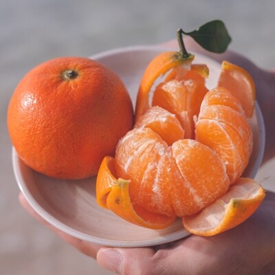 奄美完熟たんかん優品10kg