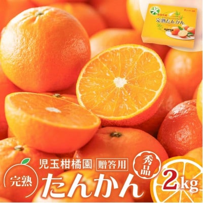 奄美完熟たんかん贈答用2kg〈秀品〉