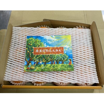 奄美完熟たんかん贈答用2kg〈秀品〉