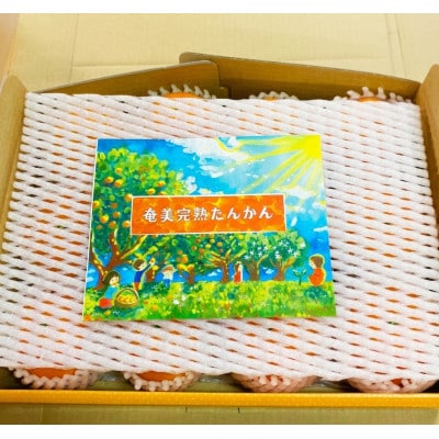 奄美完熟たんかん贈答用2kg〈秀品〉