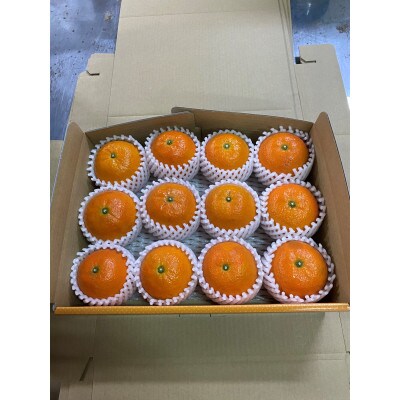 奄美完熟たんかん贈答用2kg〈秀品〉