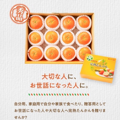 奄美完熟たんかん贈答用2kg〈秀品〉