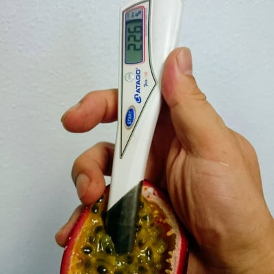 高糖度:家庭用　パッションフルーツ(約3.5kg)