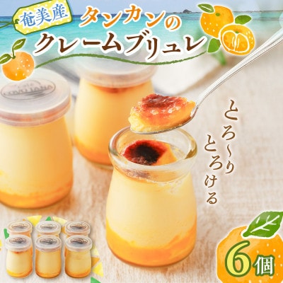 奄美産タンカンのクレームブリュレ(6個入り)