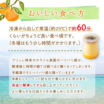 奄美産タンカンのクレームブリュレ(6個入り)