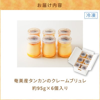 奄美産タンカンのクレームブリュレ(6個入り)
