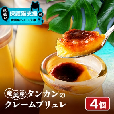 【奄美の保護猫支援(保護猫フード10日分)】奄美産タンカンのクレームブリュレ(4個入り)