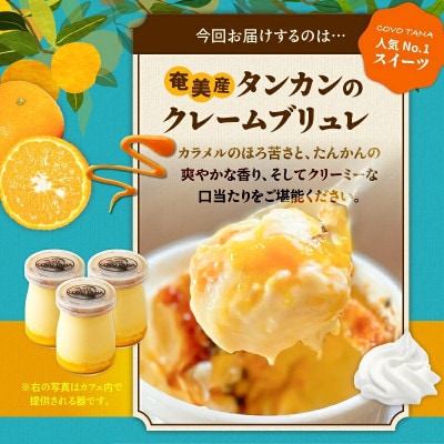 【奄美の保護猫支援(保護猫フード10日分)】奄美産タンカンのクレームブリュレ(4個入り)