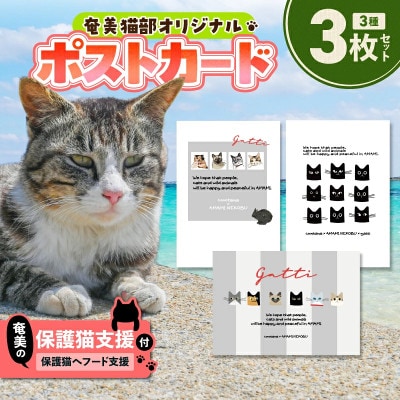 【奄美の保護猫支援(保護猫フード10日分)】ポストカード3枚セット