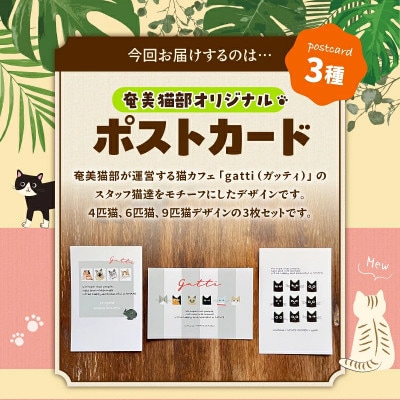 【奄美の保護猫支援(保護猫フード10日分)】ポストカード3枚セット