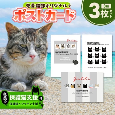 【奄美の保護猫支援(ワクチン代)】ポストカード3枚セット