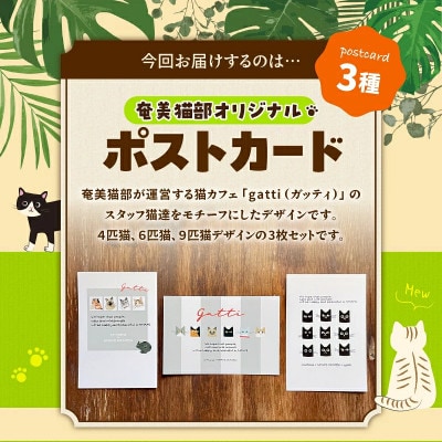 【奄美の保護猫支援(ワクチン代)】ポストカード3枚セット