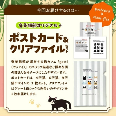 【奄美の保護猫支援(保護猫フード10日分)】ポストカード&クリアファイルセット