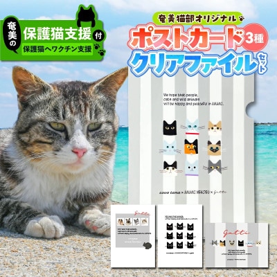 【奄美の保護猫支援(ワクチン代)】ポストカード&クリアファイルセット
