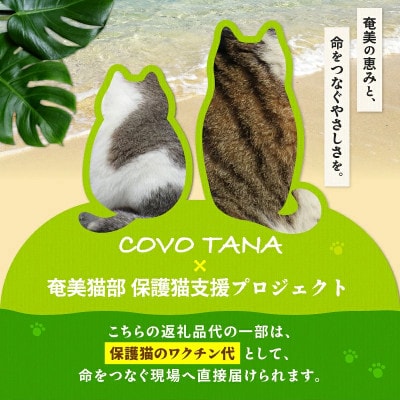 【奄美の保護猫支援(ワクチン代)】ポストカード&クリアファイルセット
