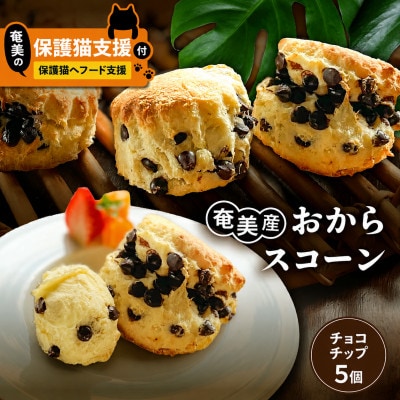 【奄美の保護猫支援(保護猫フード10日分)】+おからスコーン(チョコチップ)5個入り