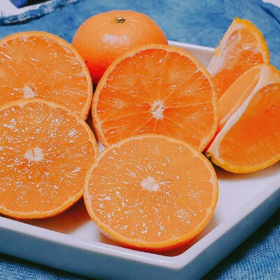 奄美タンカン優品 5kg(2L～Mサイズ)