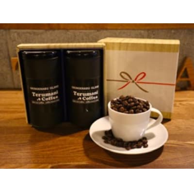 自家焙煎【てるまに珈琲】　スペシャルブレンドコーヒーギフトセット80g×2【豆】