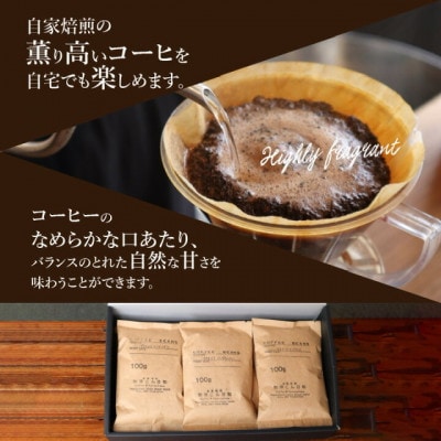 世界の自家焙煎珈琲豆テイスティングセット　100g×6種類　【豆のまま】