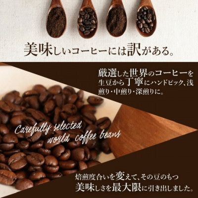 世界の自家焙煎珈琲豆テイスティングセット　100g×6種類　【豆のまま】