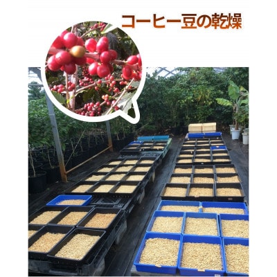 奄美珈琲ドリップバッグセット(100%奄美産10g×4、奄美産ブレンド10g×4)