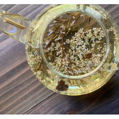 奄美大島の植物を使って軟膏作り体験