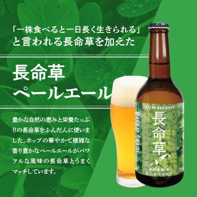 奄美のクラフトビール　飲み比べ12本セット　4種×各3本
