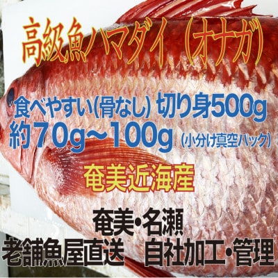 高級魚「ハマダイ(オナガ)」切り身500g(甘塩) 小分け真空パック