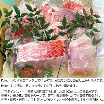 高級魚「ハマダイ(オナガ)」切り身500g(甘塩) 小分け真空パック